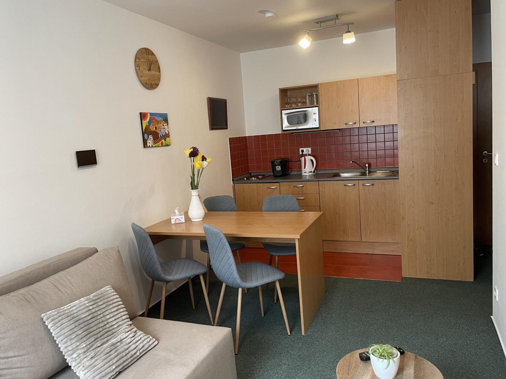 קיוב Apartman Palacky מראה חיצוני תמונה